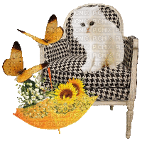 Cat, Katze, Sessel, Blumenschirm - Gratis geanimeerde GIF