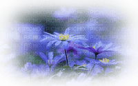 Cleo-bloemen-blauw - bezmaksas png
