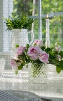 Rosen am Fenster - gratis png