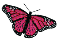 butterfly patch - nemokama png