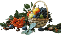 frutas - nemokama png