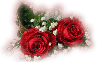 blommor-rosor--flowers-roses - 免费PNG