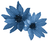 dulcineia8 flores - GIF animado grátis