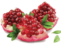 pomegranate fruit bp - фрее пнг