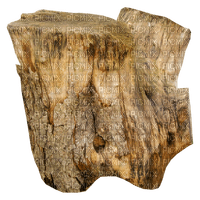 autumn tree trunk kikkapink - PNG gratuit