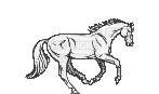 petit cheval - 免费动画 GIF