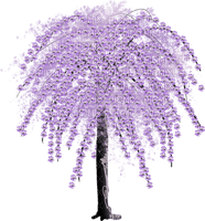 patricia87 arbre - PNG gratuit