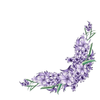 flowers border - δωρεάν png