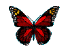 papillon - Gratis animeret GIF
