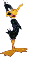 daffy - nemokama png