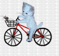 chat à vélo - Δωρεάν κινούμενο GIF