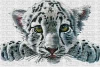 тигрёнок - Animovaný GIF zadarmo