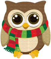 Kaz_Creations Owl Owls - besplatni png