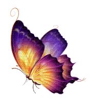 papillon violet - zadarmo png