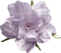 lila-rose-flower-ros-blomma - nemokama png
