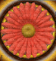 flower - Бесплатни анимирани ГИФ