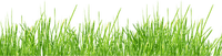 Kaz_Creations Deco Grass - ilmainen png
