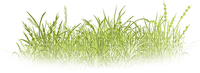 soave deco spring grass border floor green - Free PNG