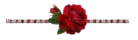 Red Rose - Бесплатный анимированный гифка