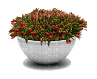 pot with flowers, sunshine3 - gratis png