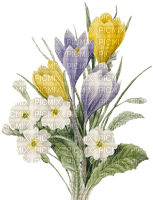 Blumen, Primeln, Krokusse, Flowers, Spring - png ฟรี
