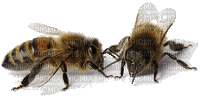 včela - Free animated GIF