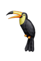 toucan - фрее пнг