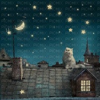 Background Evening Cat - 無料png