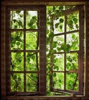 Fenster - Free PNG