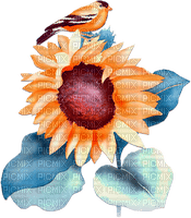 soave deco flowers sunflowers branch blue orange - Free PNG