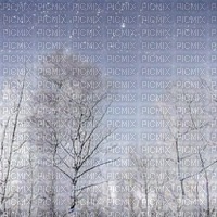 Wintery Skies and Forest - png gratis