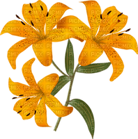 flower,fleur - безплатен png