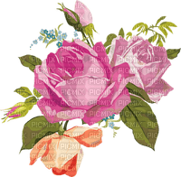 All my lovely flowers - bezmaksas png