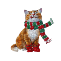 cat winter chat hiver - PNG gratuit