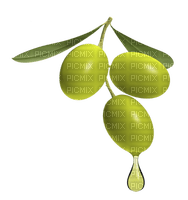 olives bp - ücretsiz png