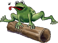 spring printemps frühling primavera весна wiosna  garden jardin  wood frog frosch teich pond lake gif anime animated etang grenouille - Zdarma animovaný GIF