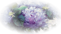 fleur violette.Cheyenne63 - png ฟรี