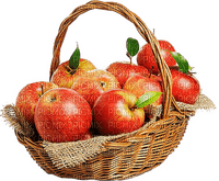 Pommes.Basket.Apple.fruit.Victoriabea