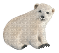 dolceluna polar bear white deco - Free PNG