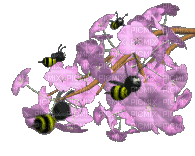 flower with bees - GIF animado gratis