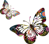 Vlinder 🦋 - png grátis