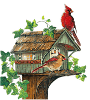 Vogelhaus - kostenlos png