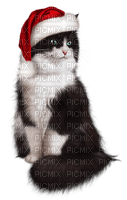 Kaz_Creations Christmas  Cats Cat Kittens Kitten - бесплатно png