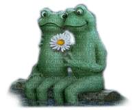 frog couple - png ฟรี