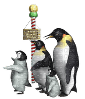 Pingouins. - PNG gratuit