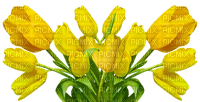 kukka flower fleur tulip tulppaani - besplatni png