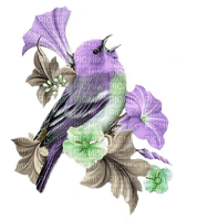 bird, fleur, Pelageya - 免费PNG