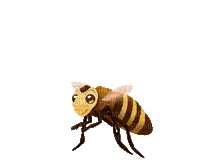 BEE - 無料のアニメーション GIF