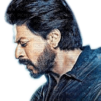 Rena Shah Rukh Khan Man Mann - bezmaksas png