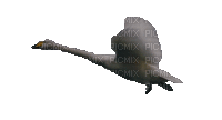 Лебедь - Безплатен анимиран GIF